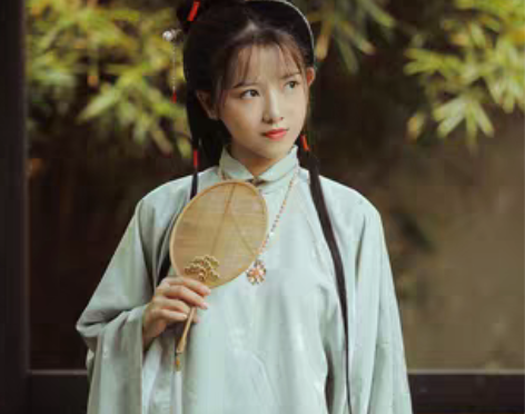 转卖兰若庭 汉服 太平有象 长袄 立领 明...