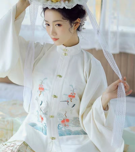 包邮兰若庭 汉服 望水云鹤 明制 立领 补...