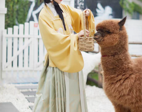 转卖都城南庄汉服小狐狸短袄马面裙原创正品明...