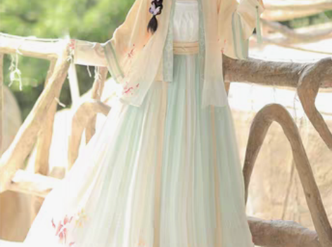 转卖星婉 宋制汉服女长袖短衫半袖褙子齐腰褶...