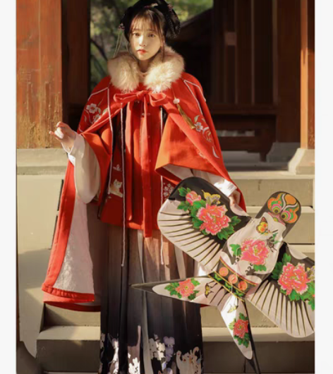 喵蝶醉 五五年汉服 女 明制秋冬毛呢方领半...