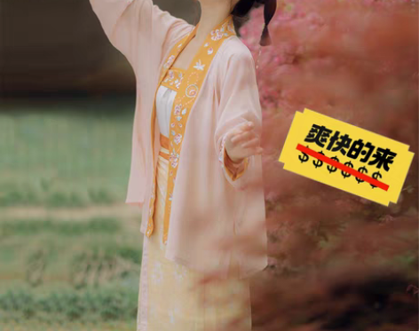 包邮仙楚姬原创汉服 【初欢】XL一套,未上...