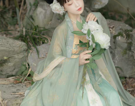 转卖仙楚姬原创汉服女【皖蝶】唐制诃子裙一片...