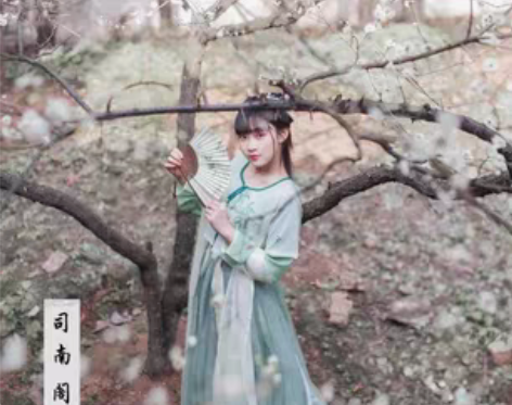 转卖司南阁汉服 坦领襦裙 ——青筠 老款了...