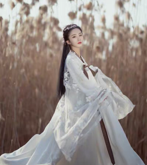 出租汉服 正 卿如许 踏月 六米齐胸〔司南...