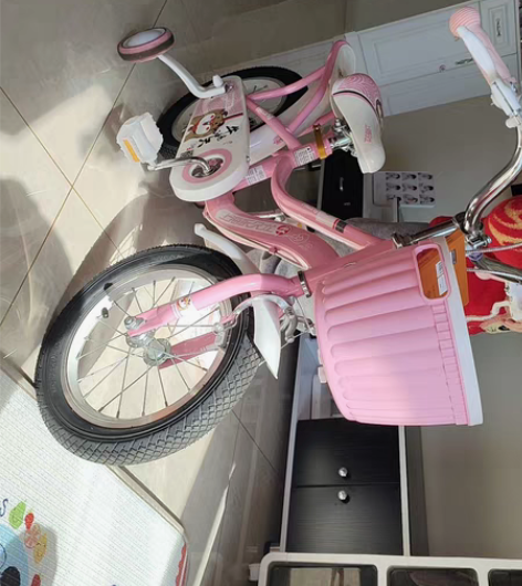 上海永久14寸，一共骑了不到  10次 感...