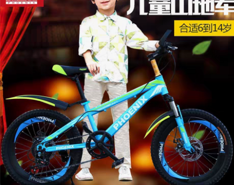 转卖凤凰儿童自行车20寸变速男女小孩学生山...