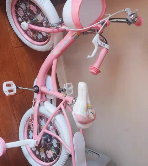 飞鸽儿童自行车16寸 买回来骑了几次小了闲...