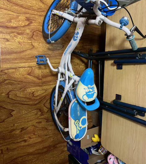 飞鸽儿童车，自行车，带辅助轮，要的速度。 ...