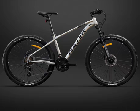 转卖【狂欢价】菲利普山地车自行车变速成人双...