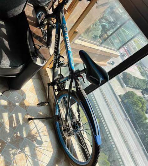 自行车，26寸，闲置很久了，不怎么骑，不知...