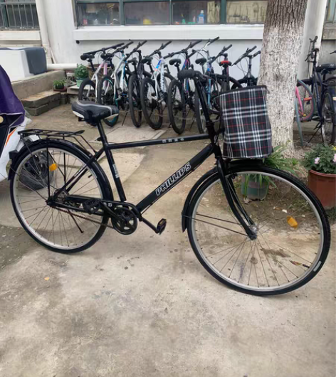 菲利普精品二手自行车低价出售199元！ 车...