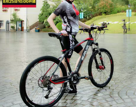 转卖SAVA碳纤维山地车自行车 27速禧玛...