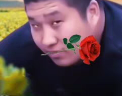 没钱吃饭了，接火影忍者手游组织活动，段位，...