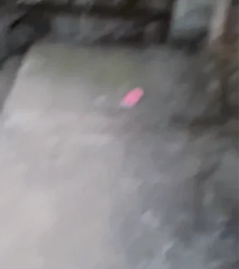 包邮出殴达(ordor)z18摄像机一部,...