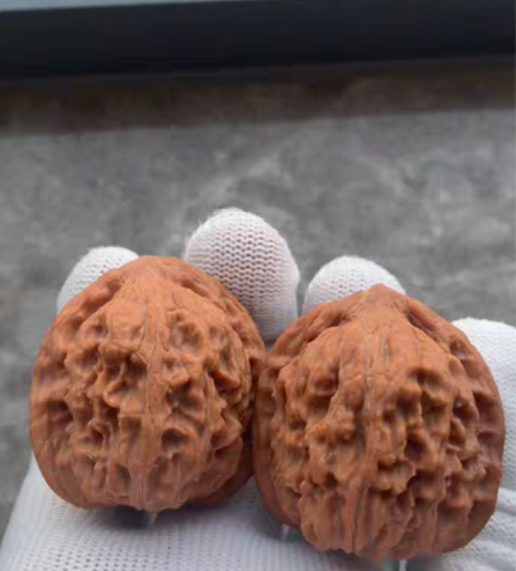 包邮【全品野生小众红狮子】082 [1]标...