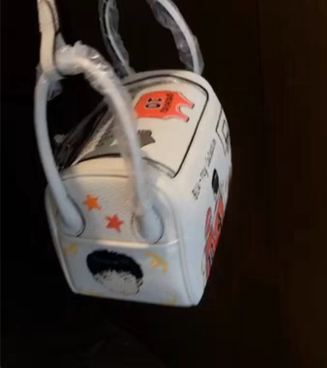 转卖007手绘灌篮高手 女士包 感兴趣的话...