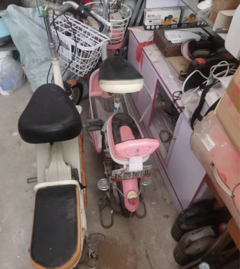 电车 一个飞鸽  一个捷安特 一个变速自行...