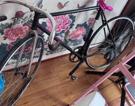 死飞，固齿自行车，海啸车架，速联牙盘，全是...