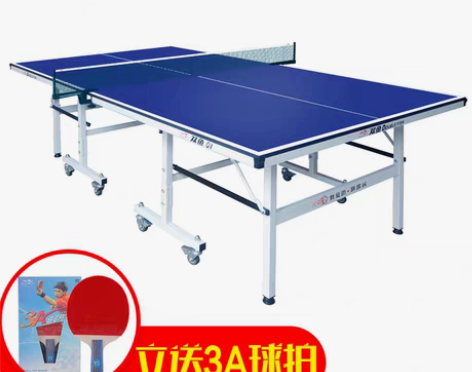转卖双鱼 儿启星E1/Q1 儿童乒乓球桌 ...