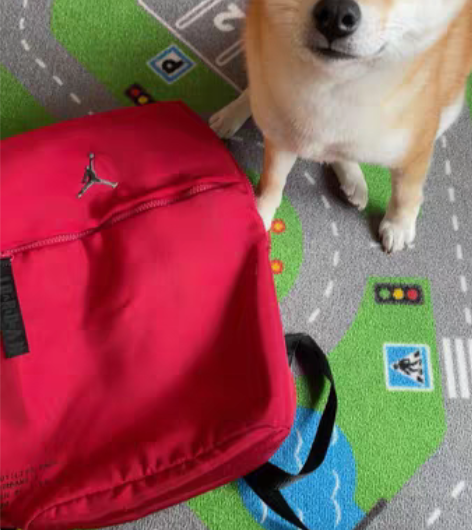 朋友在国外400多买的，印尼产JORDAN...