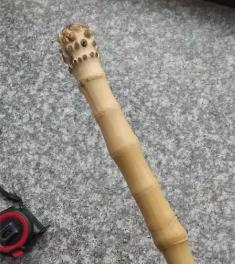 实心异形竹，按摩神器，手把件，标价就是实价...