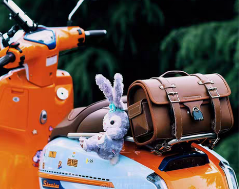 转卖适用摩托电动车维多利亚300梦拉丽莎1...