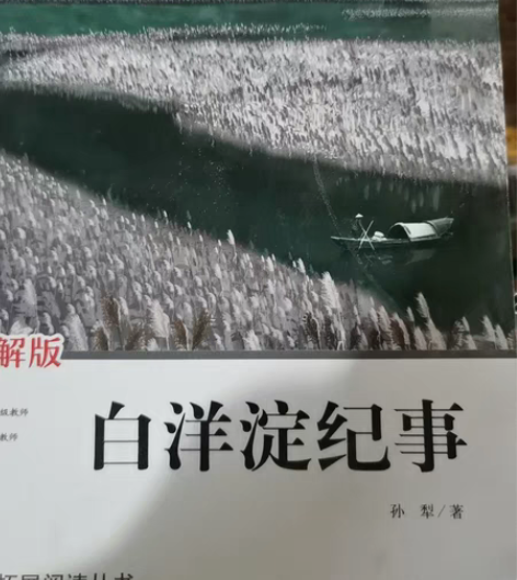 白洋淀纪事 感兴趣的话点“我想要”和我私聊...