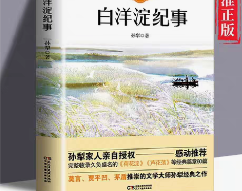 包邮白洋淀纪事 七年级正版 原著无删减初中...
