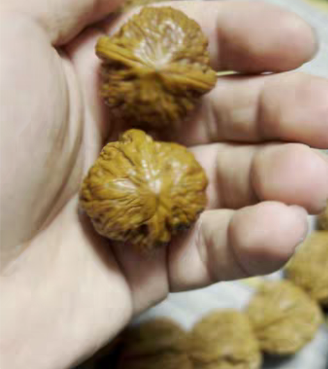 边30.6，肚30.5，高，31.4 全品...