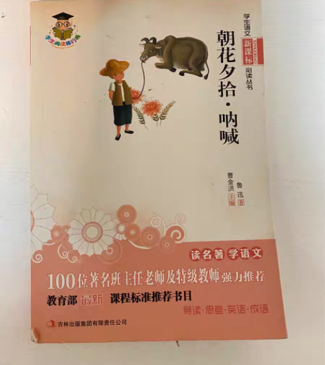 学生语文新课标必读丛书，老师强力推荐：母亲...