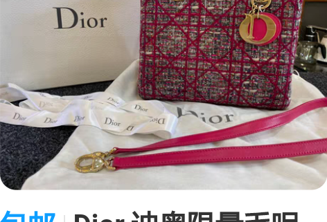 包邮Dior 迪奥限量毛呢编织三格戴妃包 ...