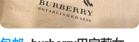 包邮burberry巴宝莉女包，强灯光下看...