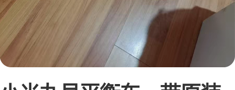 小米九号平衡车，带原装充电线，九成新只行驶...