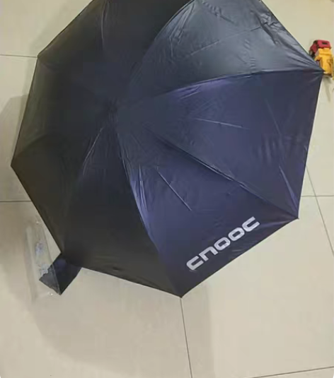 包邮包邮转全新 天堂伞 朋友送的礼品 感兴...