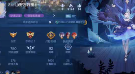 王者荣耀v8号，鸣剑曳影 天鹅之梦 无限飓...