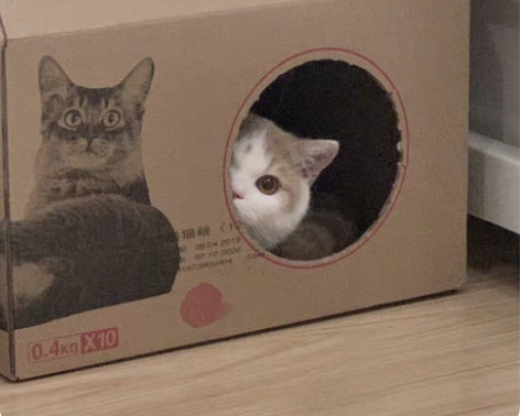 营地号：357955740 当前段位：至尊...