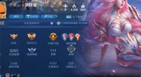 王者荣耀安卓区 武则天幻海之心 天鹅之梦 ...