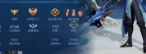 王者V8印记11个，112个英雄237个皮...