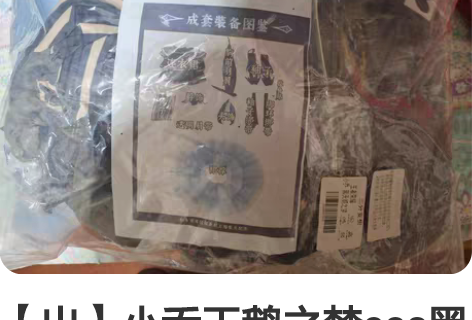 【出】小乔天鹅之梦cos黑天鹅。半包邮,因...