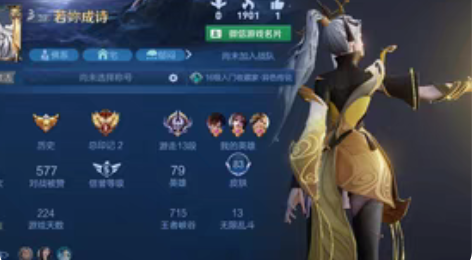 王者安v贵八女号 有武则天，星空梦想，天鹅...