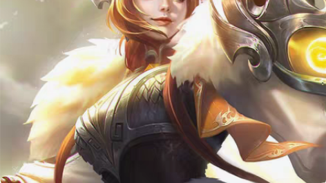 包邮冠军飞将  花木兰  四区都有  24...