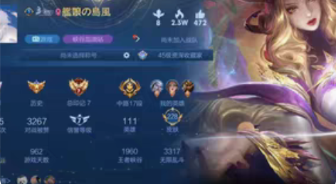 王者荣耀安卓q 武则天双水晶 诸葛亮星域神...