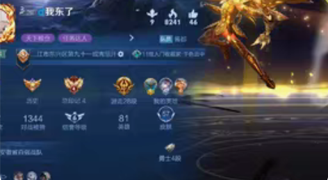 包邮王者荣耀账号,贵族7差1千贵8,一省标...