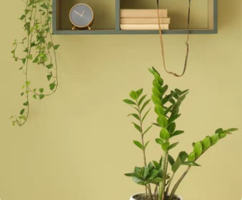 包邮浙江江苏移动联通电信手机话费到账200...