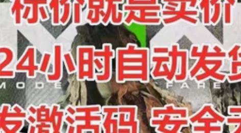 使命召唤19 COD19  吉利服 拍下发...