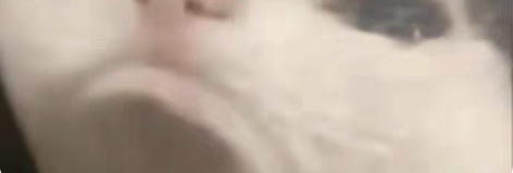 原神直播代肝各种材料采集/掉落物 平均5r...