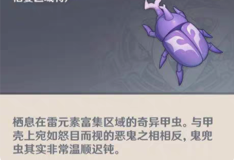 包邮原神代肝突破材料鬼兜虫（全程直播） 6...