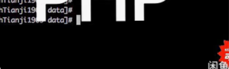 包邮Php网站设计，php代码，接php外...