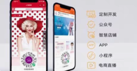 包邮软件开发APP小程序PC网站H5网站定...